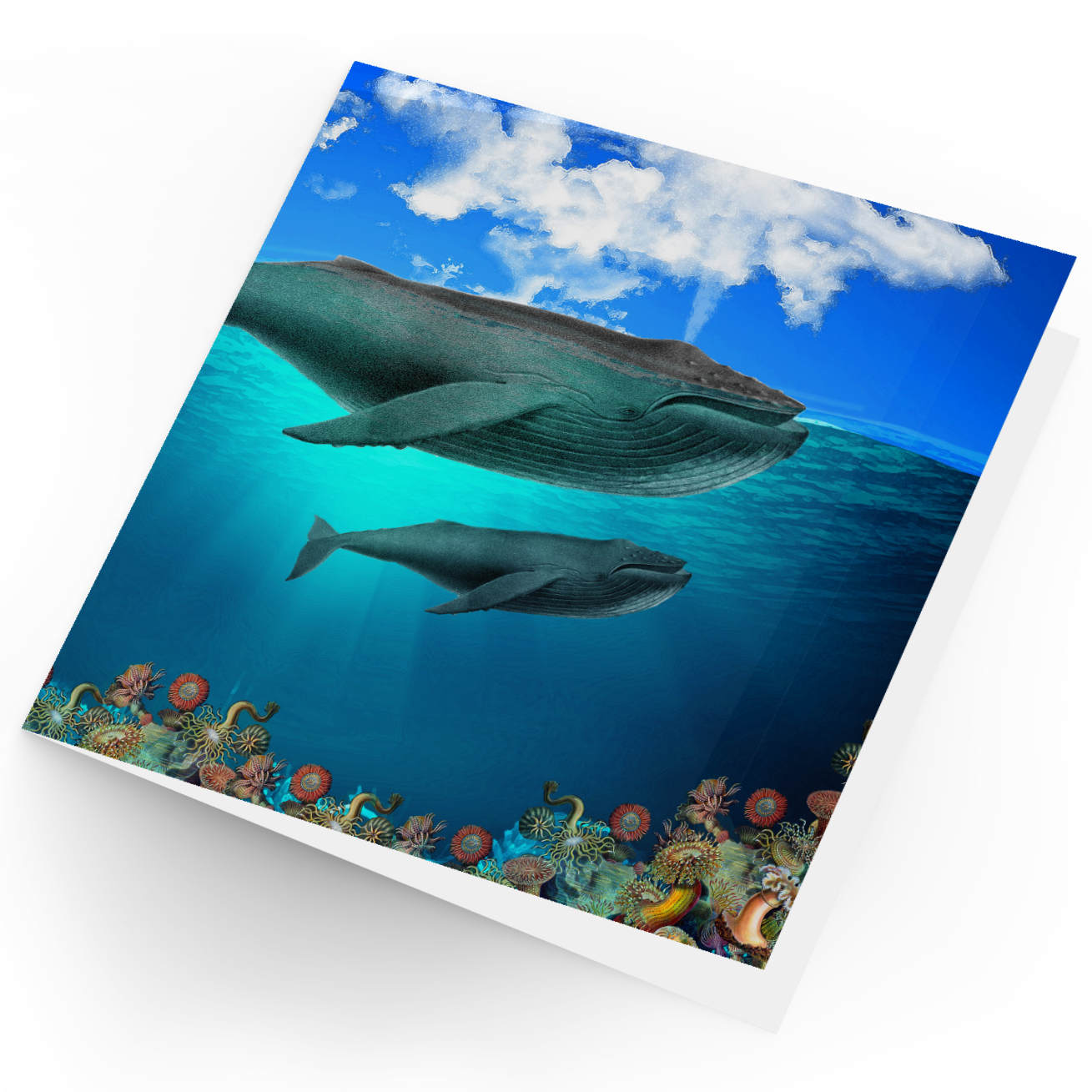 Cape Coast Cards